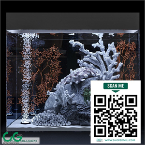 Marine aquarium